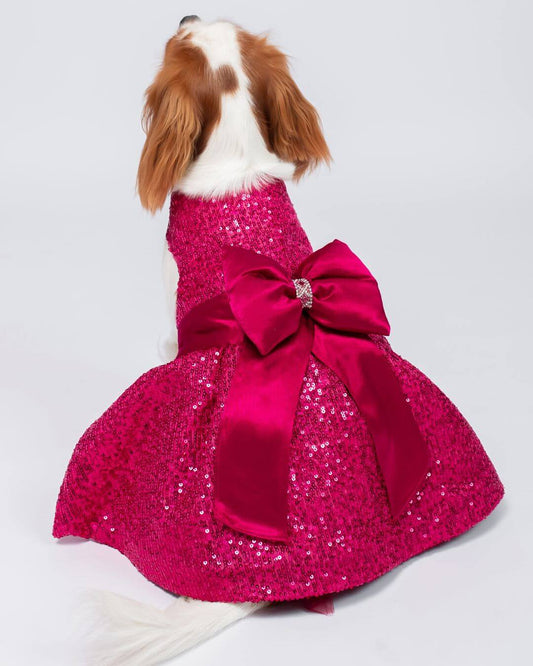 Vestido para Pet Rosa